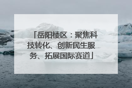 岳阳楼区：聚焦科技转化、创新民生服务、拓展国际赛道